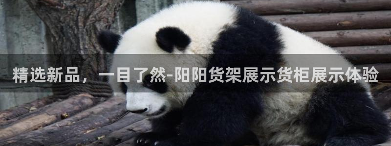 杏运体育不给出款：精选新品，一目了然-阳