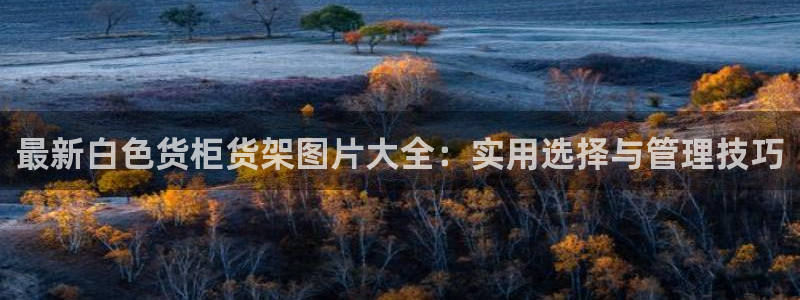 杏运体育