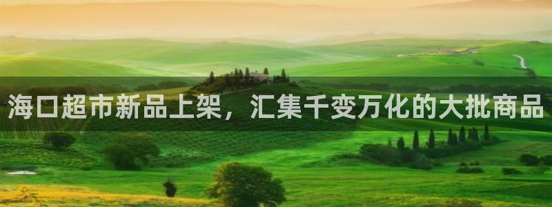 杏运平台代理