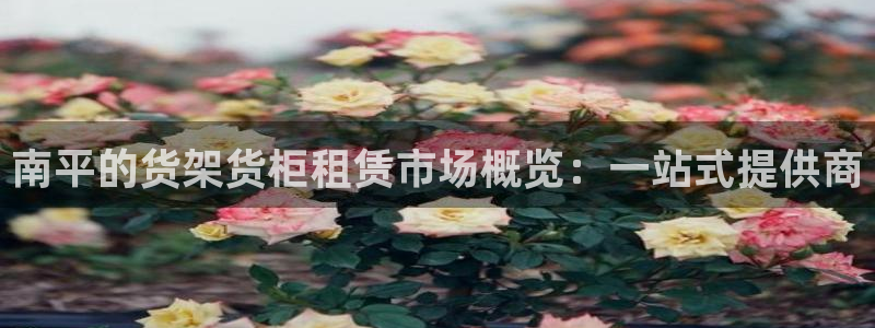 杏运汽车