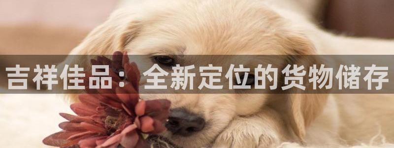 杏运体育