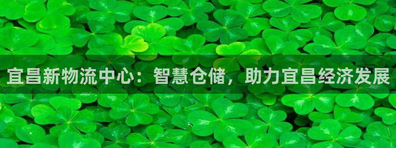 杏运注册账号：宜昌新物流中心：智慧仓储，