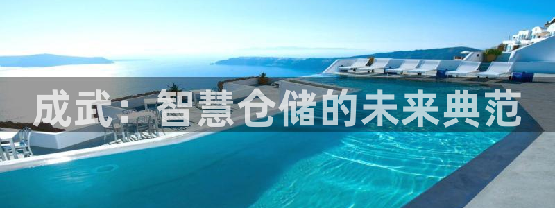 杏运汽车招商：成武：智慧仓储的未来典范
