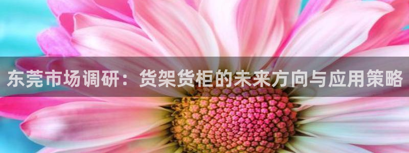 杏运娱乐平台注册地址在哪里：东莞市场调研