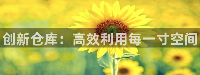 杏运代理