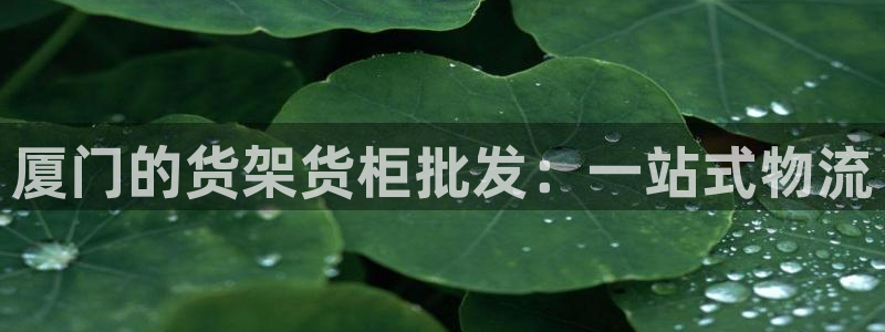 杏运体育官方网址
