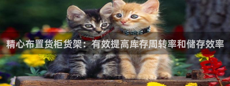 杏运体育平台正规吗安全吗可信吗
