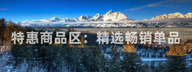 杏运汽车招商：特惠商品区：精选畅销单品