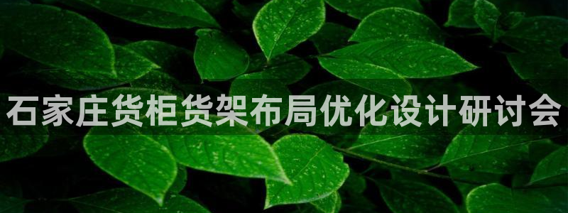 杏运汽车招商