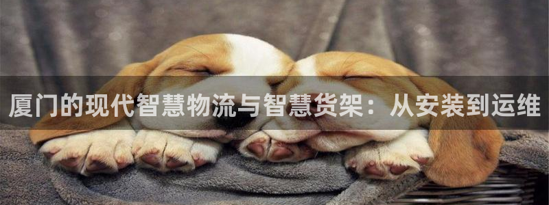 杏运注册登录地址