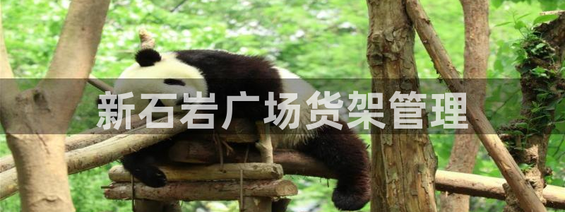 杏运娱乐平台注册地址