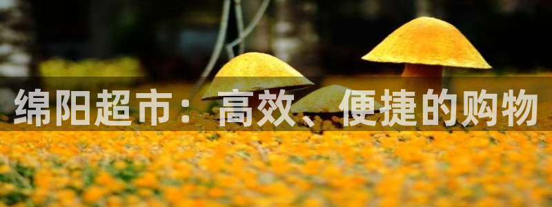 杏运体育不给出款