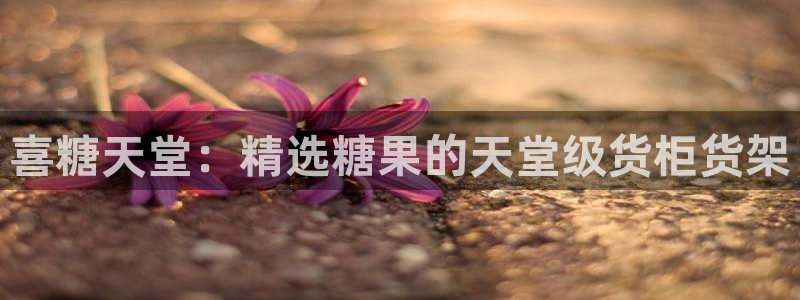 杏运相伴：喜糖天堂：精选糖果的天堂级货柜