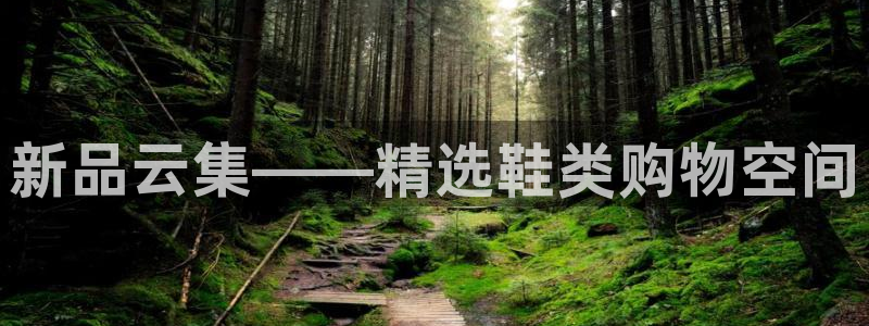 杏运代理：新品云集——精选鞋类购物空间