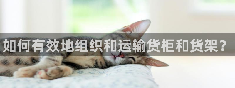 杏运娱乐平台注册地址在哪里