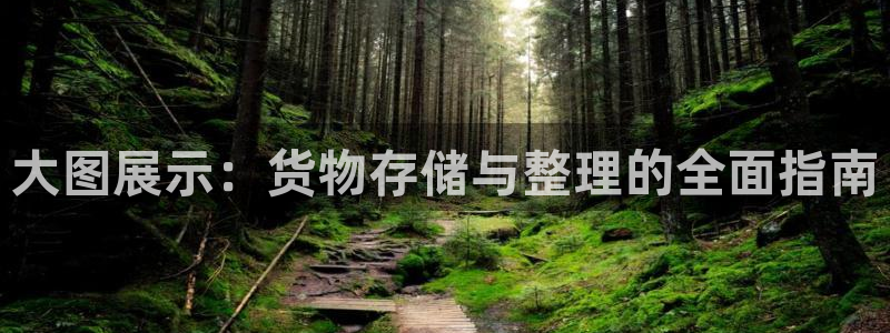 杏运体育app下载安装