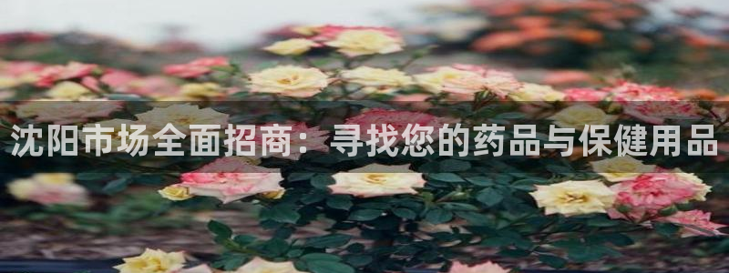 杏运体育app下载安装