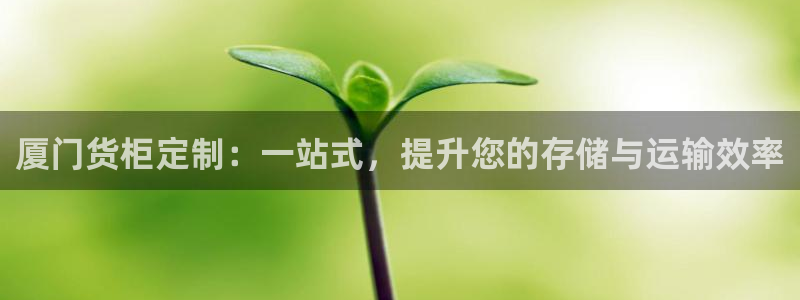 杏运体育app：厦门货柜定制：一站式，提