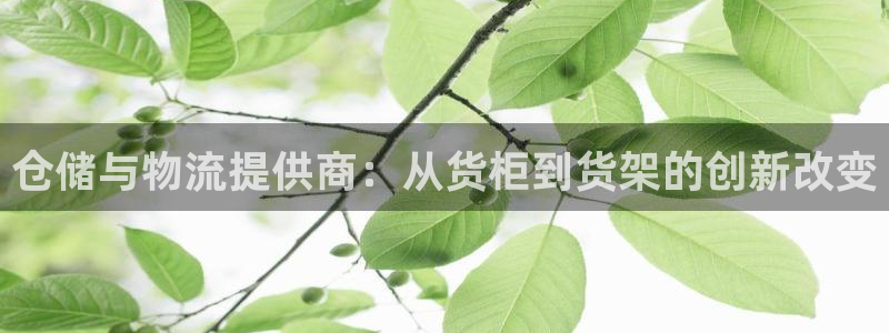 杏运体育网：仓储与物流提供商：从货柜到货